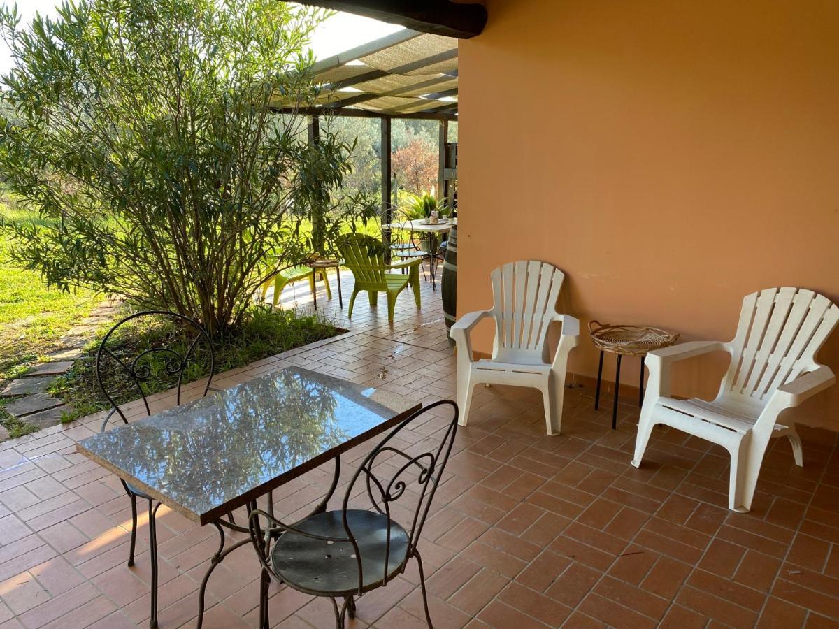 Villa Coliberto Massa Marittima Esterno foto